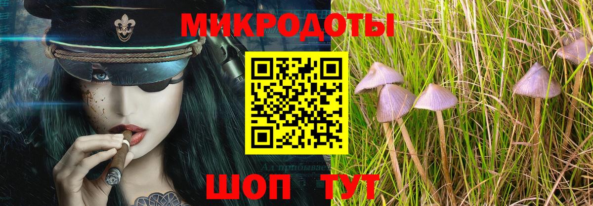 сколько стоит  Галлюциногенные грибы мицелий  Вход с VPN  Нижнекамск 